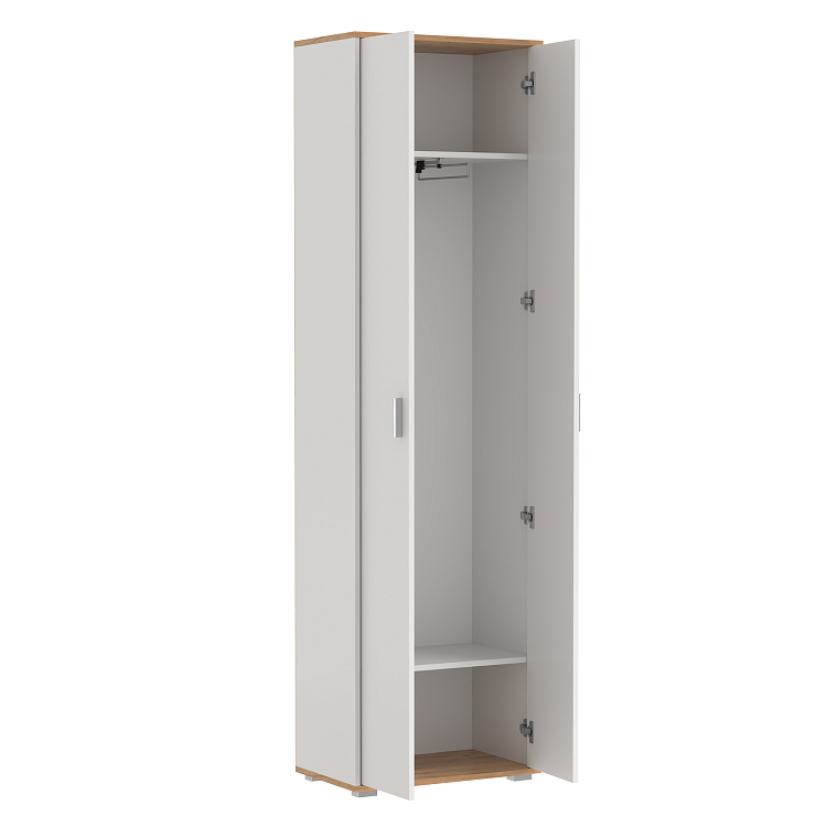 Шкаф 65.07 Антре белый/дуб золотой/ДВПО белый
