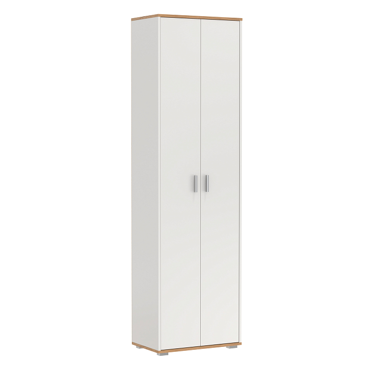 Шкаф 65.07 Антре белый/дуб золотой/ДВПО белый
