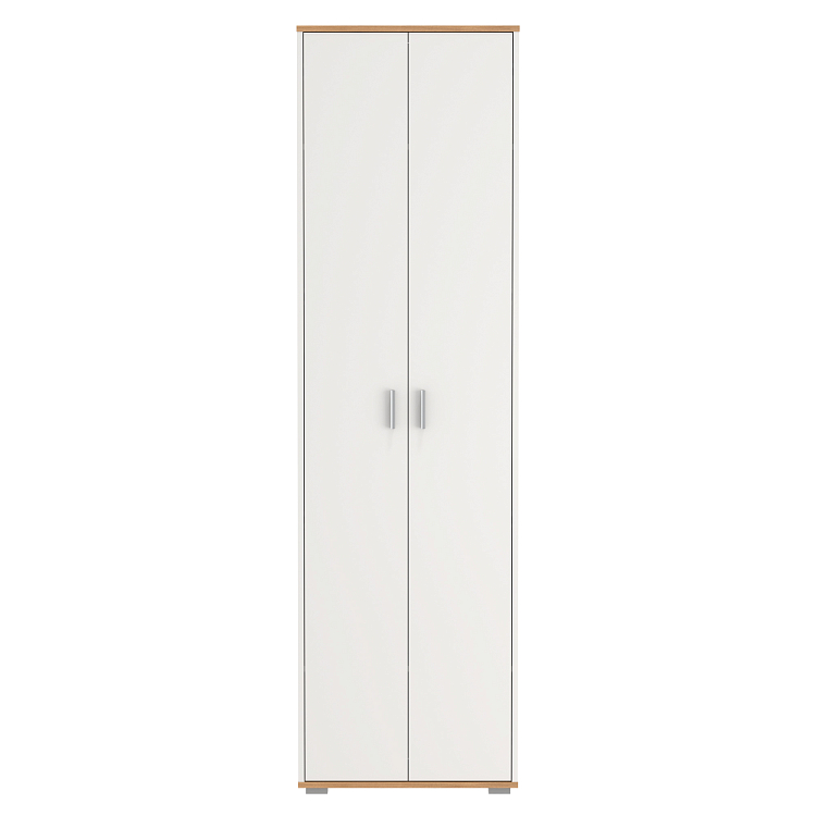 Шкаф 65.07 Антре белый/дуб золотой/ДВПО белый
